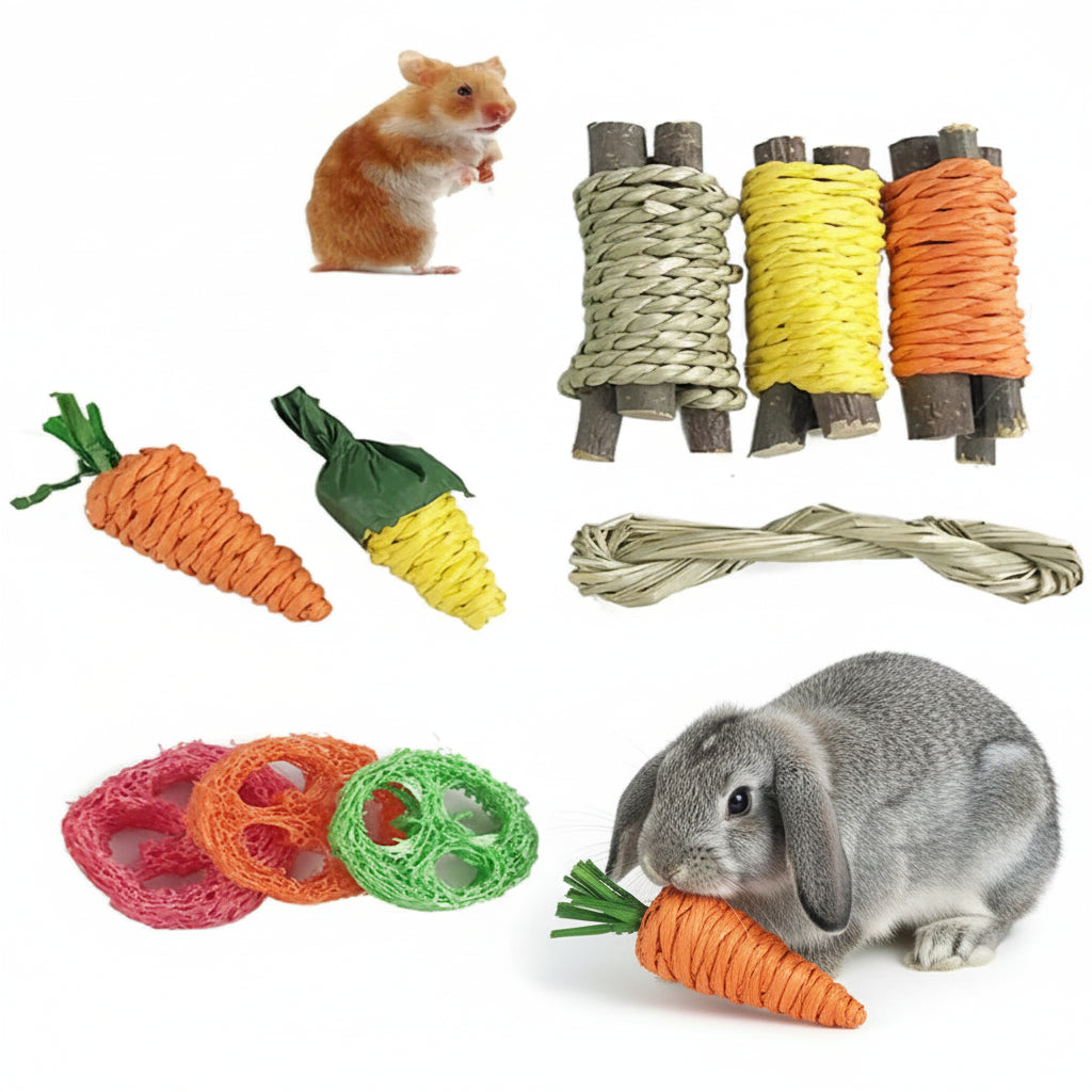 Set Giochi Masticabili in Legno